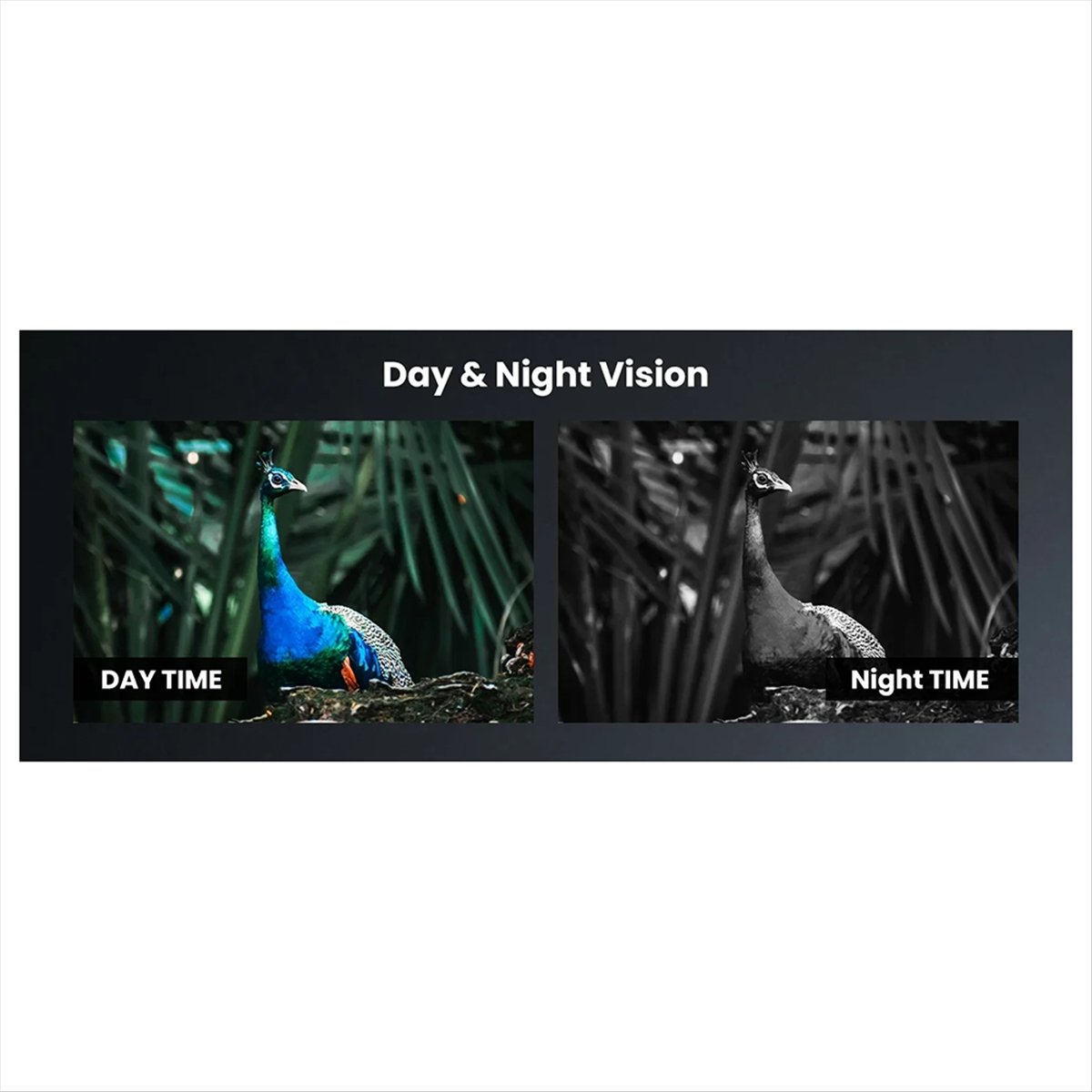 Night Vision Scope For Crossbow - Y60A YENİ - Tırtıllı Yay için